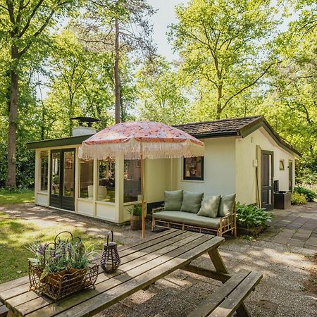 Boshuisje Op De Veluwe 宁斯佩特 外观 照片