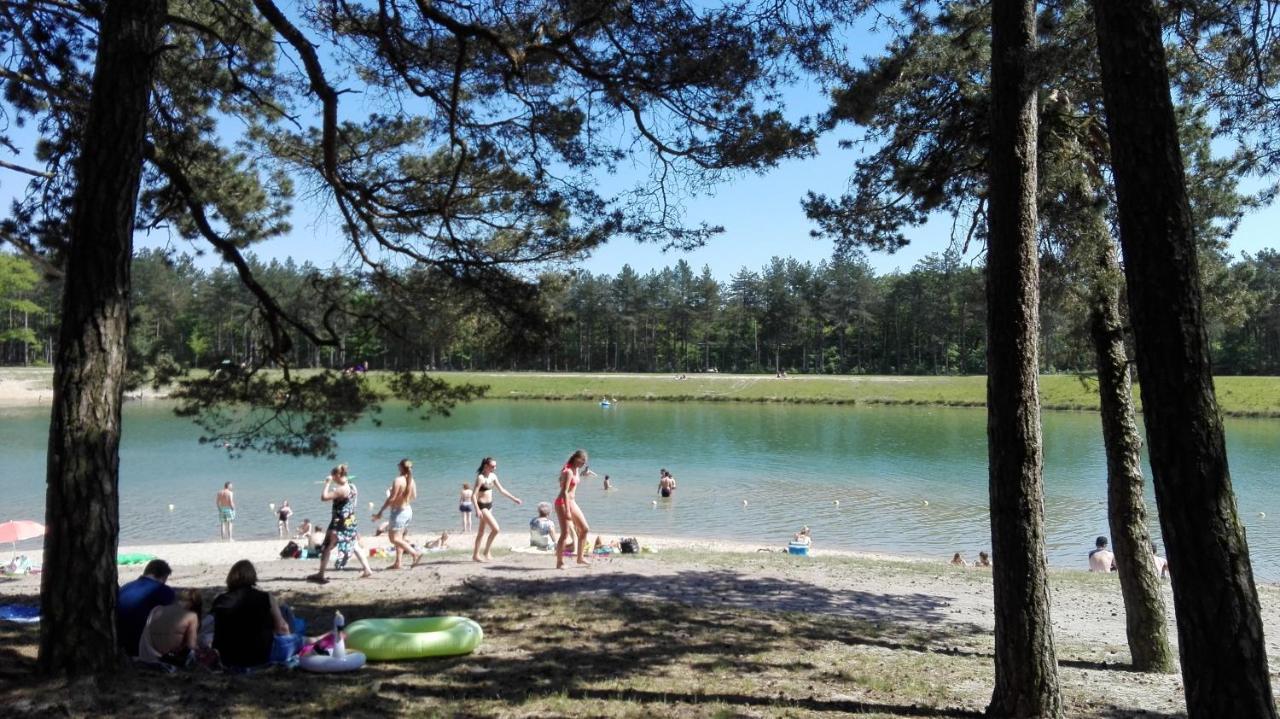 Boshuisje Op De Veluwe 宁斯佩特 外观 照片
