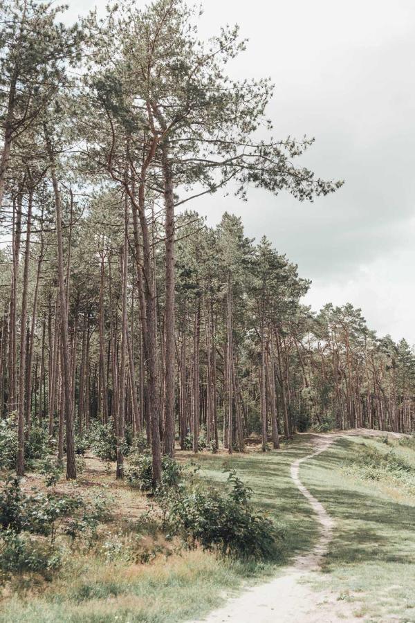 Boshuisje Op De Veluwe 宁斯佩特 外观 照片