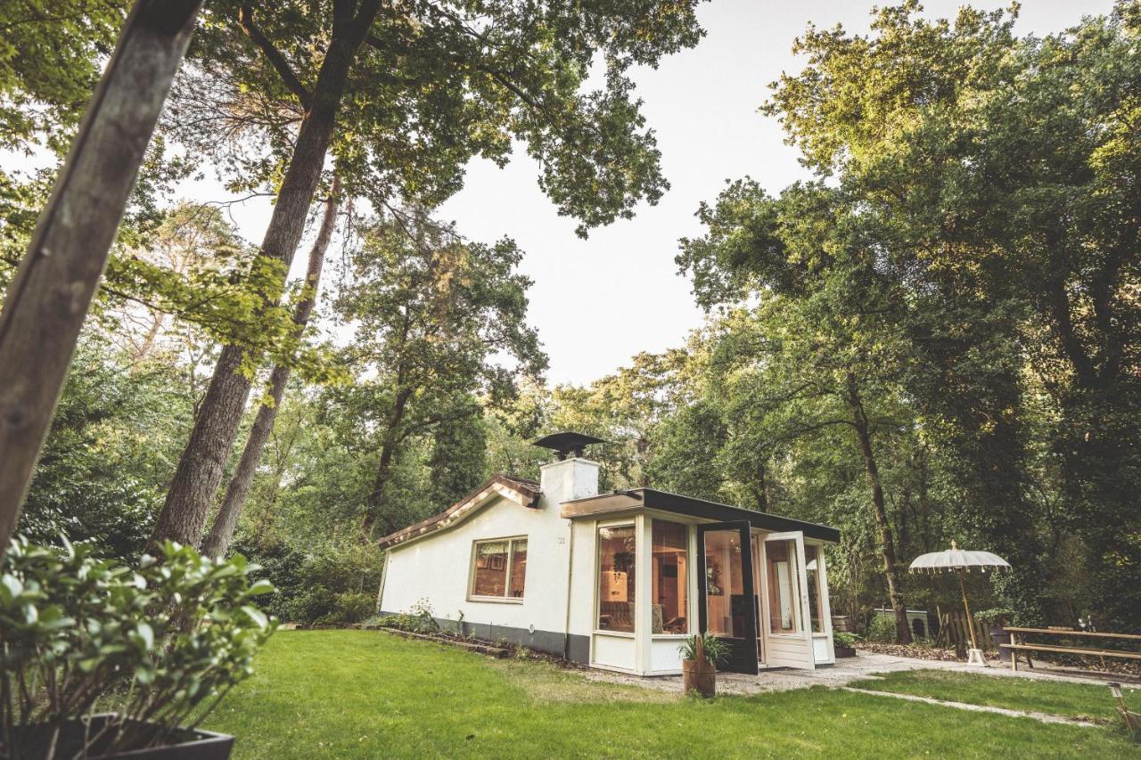 Boshuisje Op De Veluwe 宁斯佩特 外观 照片